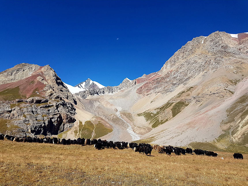 Expedicion Razdelnaya