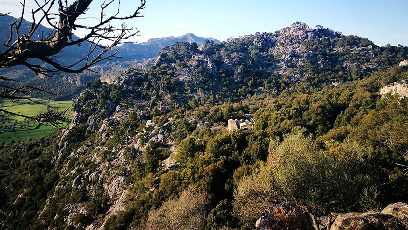 tramontana, Mallorca