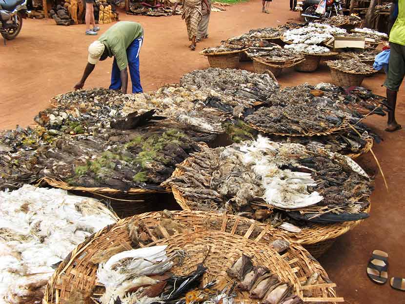 Mercado de fetiches de Abomey, Benín