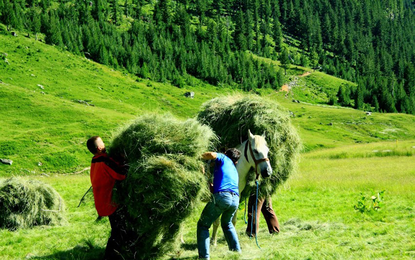 Trekking Albania