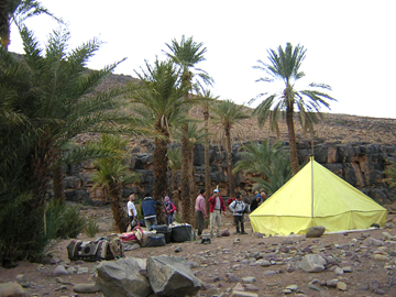 oasis Saghro