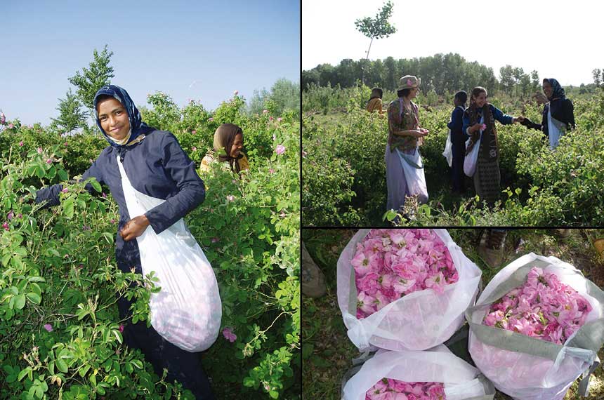 Valle de las Rosas en Marruecos