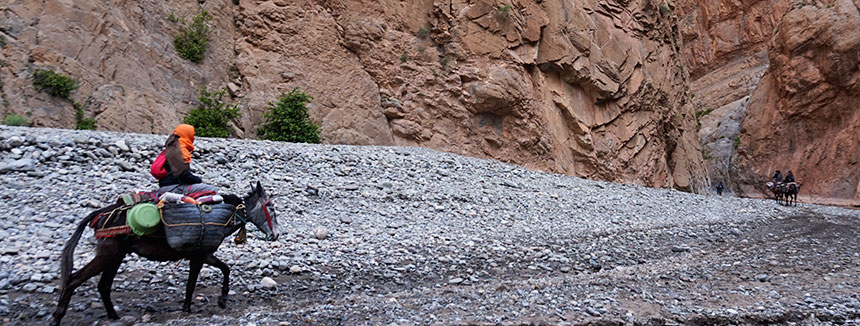 Trekking en el Valle de las Rosas. Marruecos