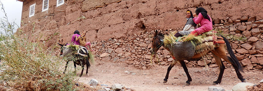 Trekking en Marruecos. Terkeditt