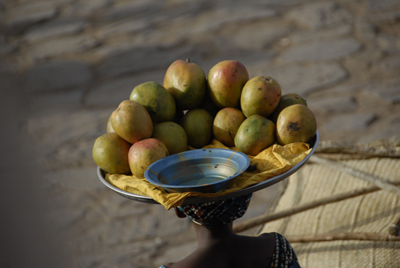 Mali, Pais dogon